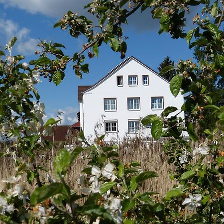 Das Haus Am Teich Gross Grabow Exteriér fotografie