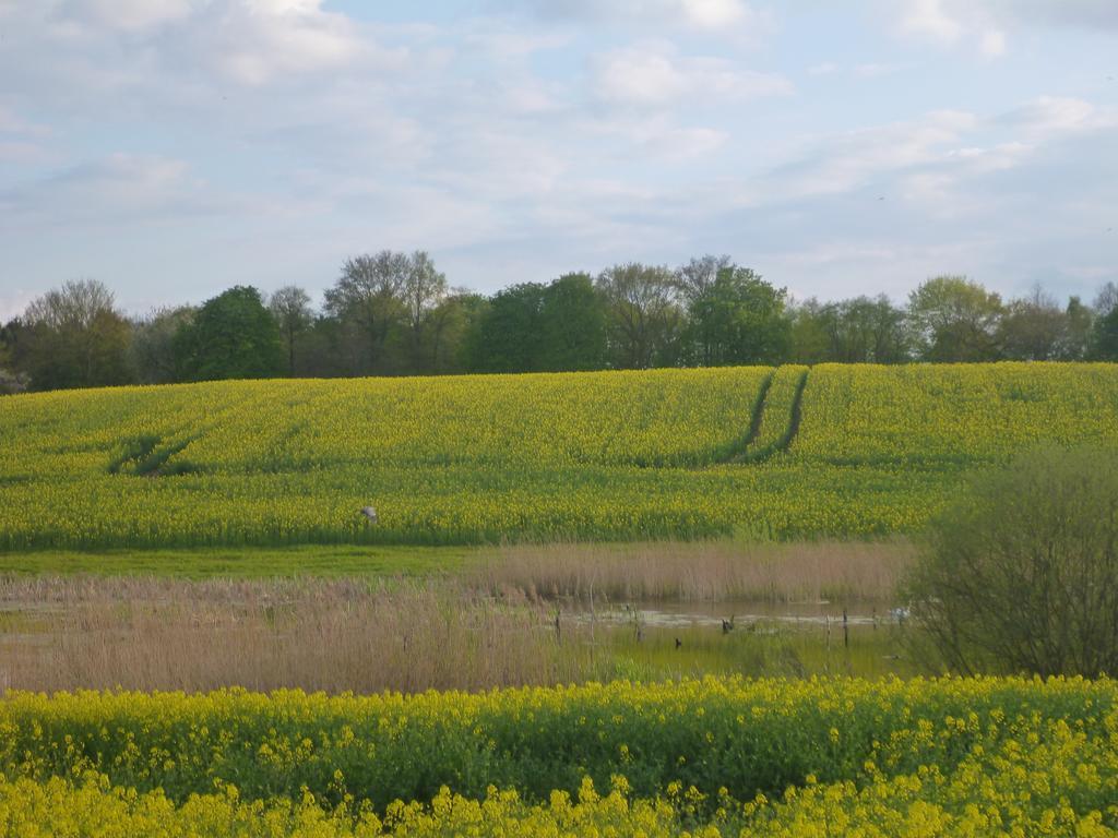 Das Haus Am Teich Gross Grabow Exteriér fotografie